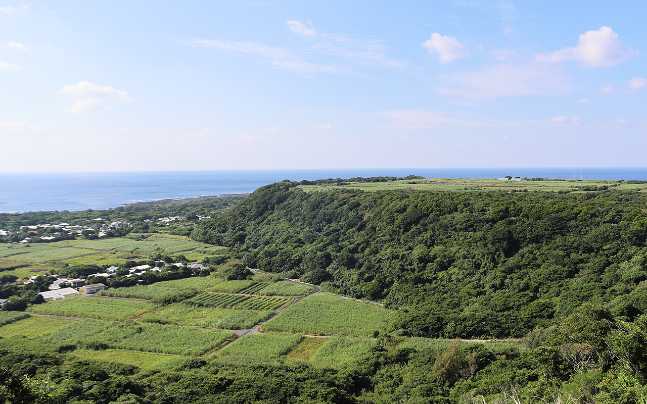 朝日酒造株式会社　リブランディング